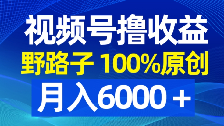 视频号野路子撸收益，100%原创，条条爆款，月入6000＋-海南千川网络科技