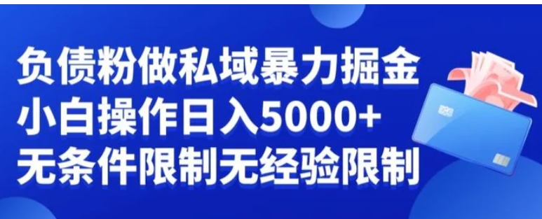 负债粉私域暴力掘金，小白操作入5000，无经验限制，无条件限制【揭秘】-海南千川网络科技