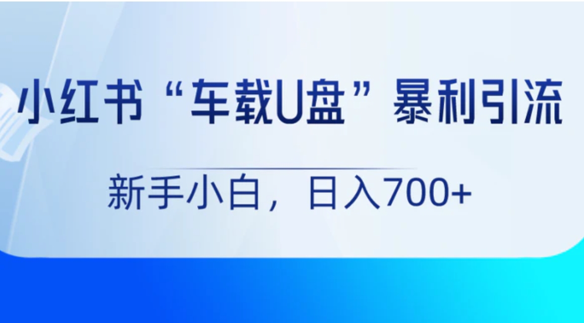 小红书“车载U盘”项目，暴利引流，新手小白轻松日入700+-海南千川网络科技