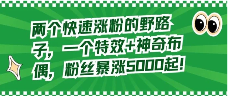 两个快速涨粉的野路子，一个特效+神奇布偶，粉丝暴涨5000起【揭秘】-海南千川网络科技