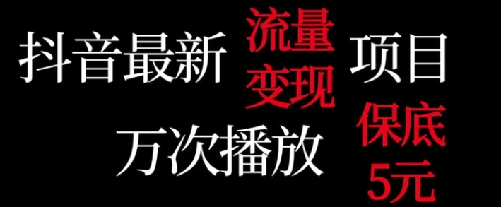 抖音流量变现，万次播放保底5元，额外收入-海纳网创学院