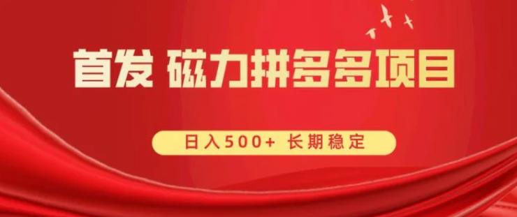 首发 磁力拼多多自撸 日入500+-海南千川网络科技