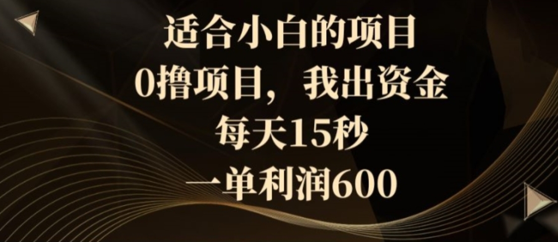 适合小白的项目，0撸项目，我出资金，每天15秒，一单利润600-海南千川网络科技