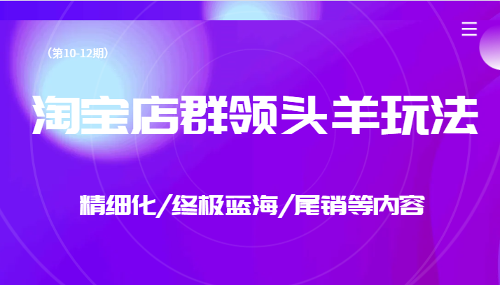 淘宝店群领头羊玩法，精细化/终极蓝海/尾销等内容-海南千川网络科技