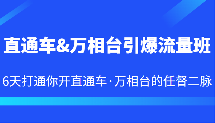 直通车&万相台引爆流量班 6天打通你开直通车·万相台的任督二脉-海南千川网络科技