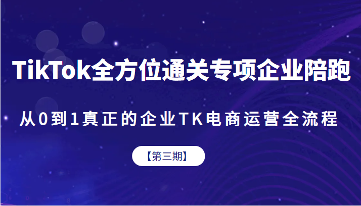 TikTok全方位通关专项企业陪跑【第三期】，从0到1真正的企业TK电商运营全流-海南千川网络科技