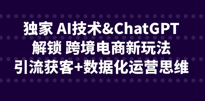 独家 AI技术&ChatGPT解锁 跨境电商新玩法，引流获客+数据化运营思维-海南千川网络科技