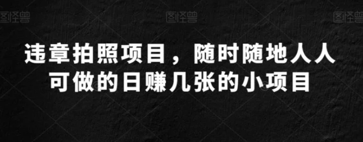 违章拍照项目，随时随地人人可做的日赚几张的小项目-海南千川网络科技