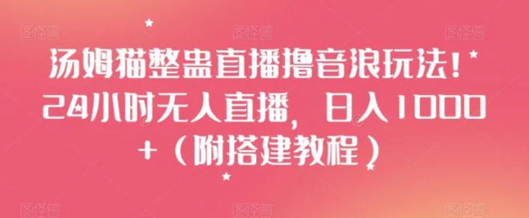 汤姆猫整蛊直播撸音浪玩法！24小时无人直播，日入1000+【揭秘】-海南千川网络科技