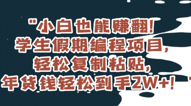 小白也能赚翻！学生假期编程项目，轻松复制粘贴，年货钱轻松到手2W+【揭秘】-海南千川网络科技