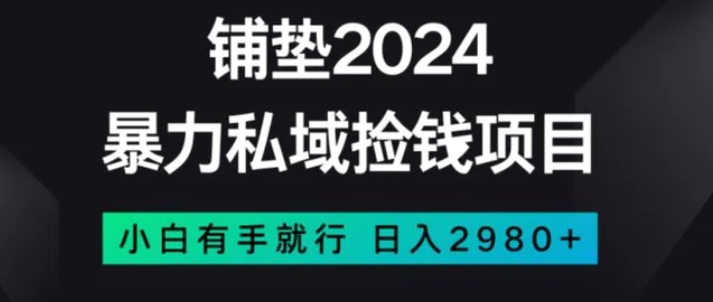 暴力私域捡钱项目，小白无脑操作，日入2980【揭秘】-海南千川网络科技