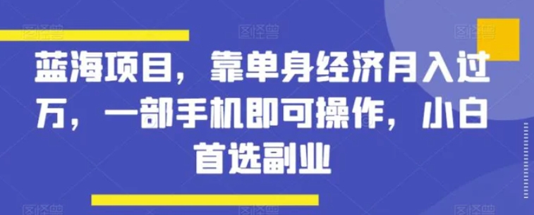 蓝海项目，靠单身经济月入过万，一部手机即可操作，小白首选副业【揭秘】-海南千川网络科技