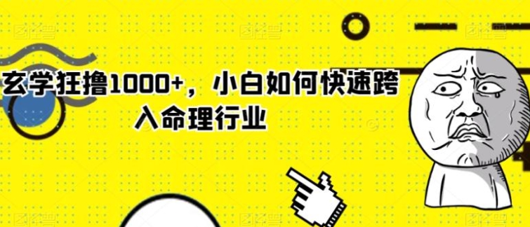 玄学狂撸1000+，小白如何快速跨入命理行业【揭秘】-海南千川网络科技