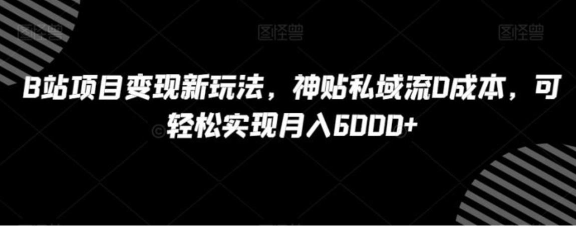 B站项目变现新玩法，神贴私域流0成本，可轻松实现月入6000+【揭秘】-海纳网创学院