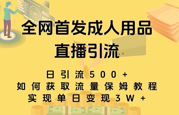 最新全网独创首发，成人用品直播引流获客暴力玩法，单日变现3w保姆级教程-海南千川网络科技