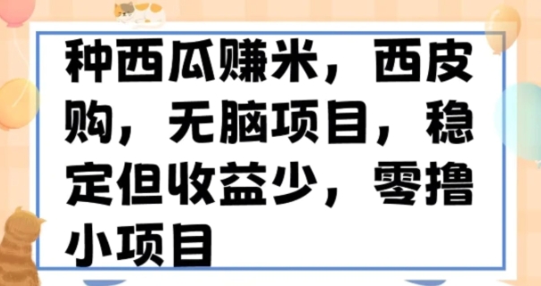 种西瓜赚米，西皮购稳定长久零撸小项目-海南千川网络科技