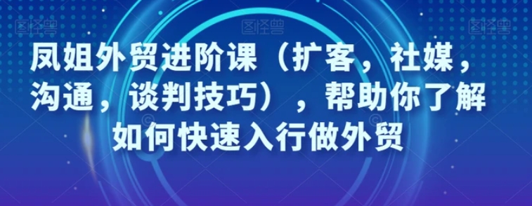 凤姐外贸进阶课，帮助你了解如何快速入行做外贸-海南千川网络科技