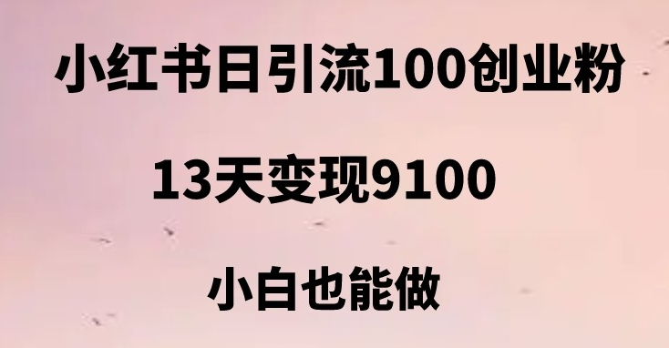 小红书日引流100+创业粉，13天变现9100，创业首选引流平台-海南千川网络科技