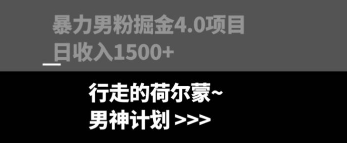 暴力男粉掘金4.0项目不违规不封号无脑复制单人操作日入1000+-海南千川网络科技