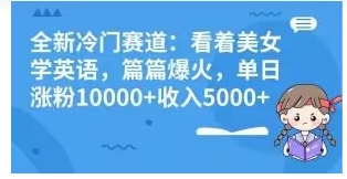 全新冷门赛道：看着美女学英语，篇篇爆火，单日涨粉10000+收入5000+-海南千川网络科技