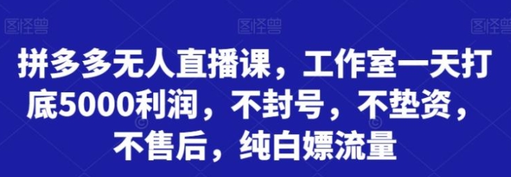 拼多多无人直播课，工作室一天打底5000利润，不封号，不垫资，不售后，纯白嫖流量-海南千川网络科技