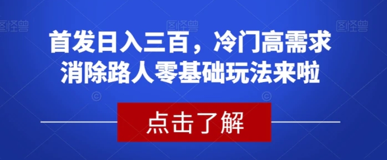 首发日入三百，冷门高需求消除路人零基础玩法来啦【揭秘】-海南千川网络科技