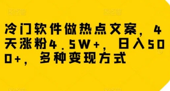 冷门软件做热点文案，4天涨粉4.5W+，日入500+，多种变现方式【揭秘】-海南千川网络科技