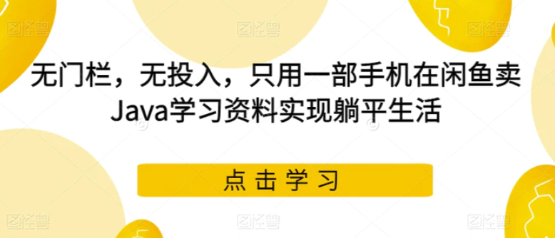 无门栏，无投入，只用一部手机在闲鱼卖Java学习资料实现躺平生活【揭秘】-海南千川网络科技