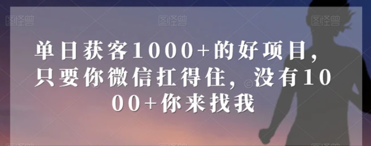 单日获客1000+的好项目，只要你微信扛得住，没有1000+你来找我【揭秘】-海南千川网络科技