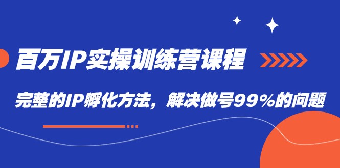 百万IP实战训练营课程，完整的IP孵化方法，解决做号99%的问题-海纳网创学院