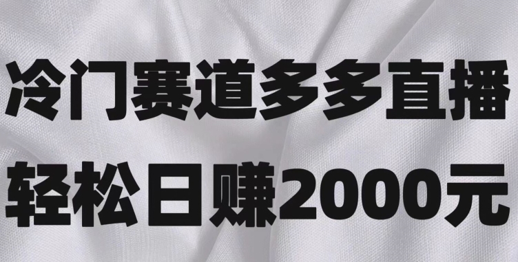 冷门赛道拼多多直播，简单念稿子，日收益2000＋【揭秘】-海南千川网络科技