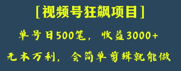 日收款500笔，纯利润3000+，视频号狂飙项目，会简单剪辑就能做【揭秘】-海南千川网络科技