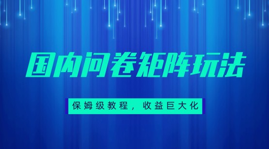 保姆级教程，国内问卷矩阵玩法，轻松赚收益-海南千川网络科技