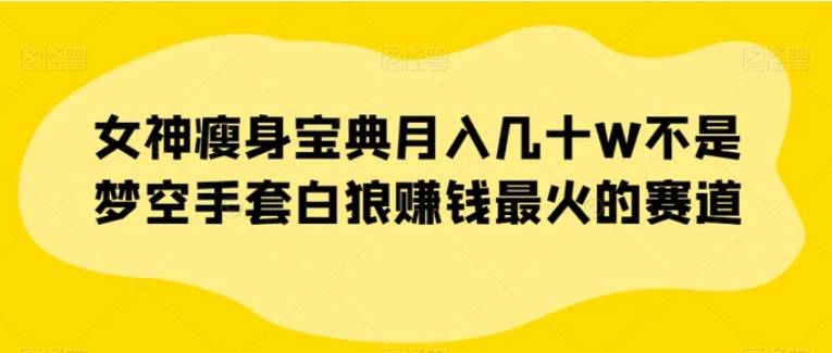 女神瘦身宝典月入几十W不是梦空手套白狼赚钱最火的赛道【揭秘】-海南千川网络科技