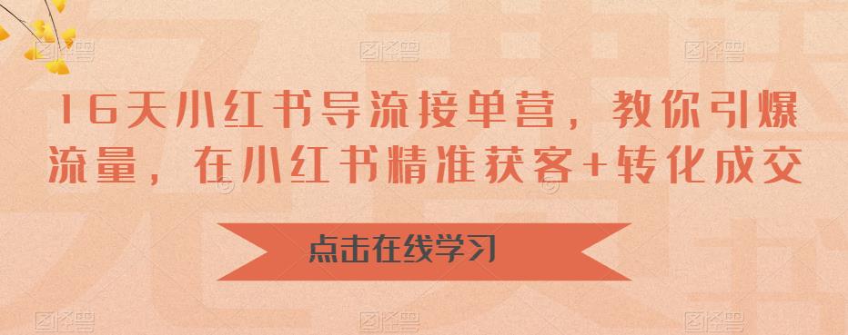 16天-小红书 导流接单营，教你引爆流量，在小红书精准获客+转化成交-海纳网创学院