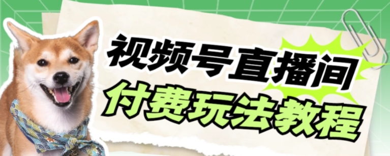 视频号美女付费无人直播，轻松日入500+【详细玩法教程】-海南千川网络科技