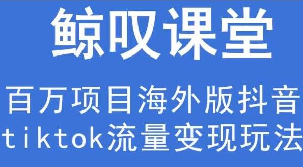 鲸叹号《海外TIKTOK训练营》百万项目海外版抖音tiktok流量变现玩法-海南千川网络科技