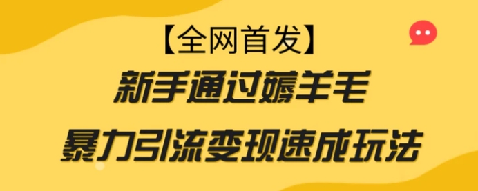 【全网首发】新手通过薅羊毛暴力引流变现速成玩法-海南千川网络科技