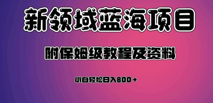 虚拟资源蓝海领域新项目，轻松日入800＋，附保姆级教程及资料-海南千川网络科技