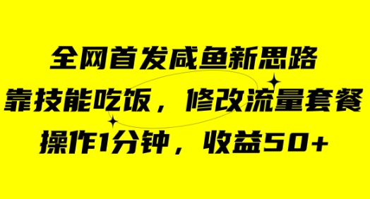 咸鱼冷门新玩法，靠“技能吃饭”，修改流量套餐，操作1分钟，收益50+-海纳网创学院