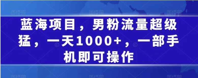 蓝海项目，男粉流量超级猛，一天1000+，一部手机即可操作【揭秘】-海南千川网络科技