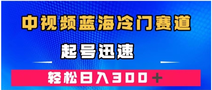 中视频蓝海冷门赛道，韩国视频奇闻解说，起号迅速，日入300＋-海南千川网络科技