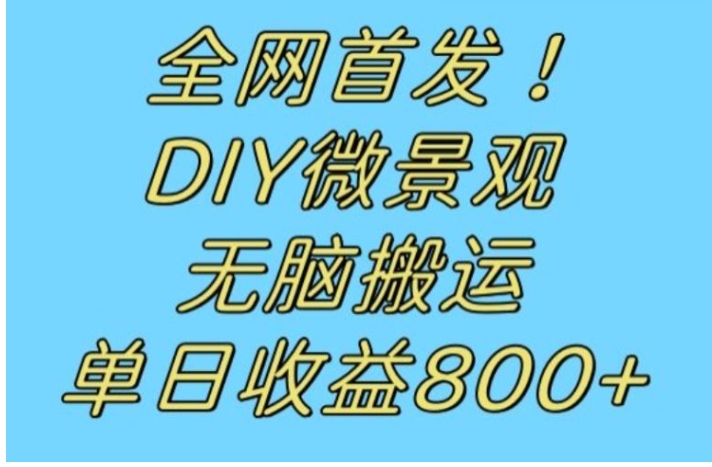 全网首发冷门赛道！DIY微景观，无脑搬运视频，日收益800+【揭秘】-海南千川网络科技