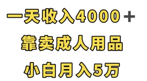 一天收入4000+，靠卖成人用品，小白轻松月入5万【揭秘】-海南千川网络科技