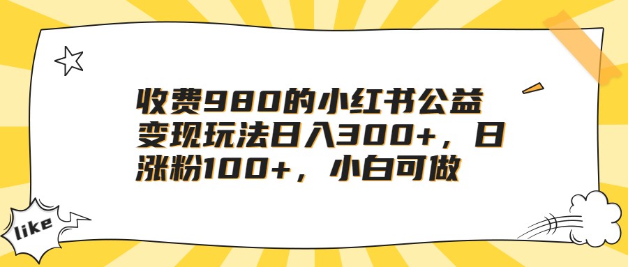 收费980的小红书公益变现玩法日入300+，日涨粉100+，小白可做-海南千川网络科技