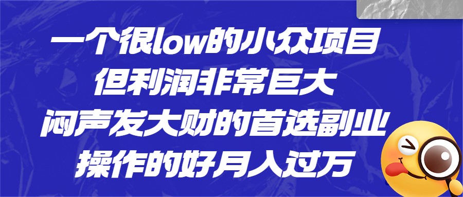 一个很low的小众项目，但利润非常巨大，闷声发大财的首选副业，月入1W+-海南千川网络科技