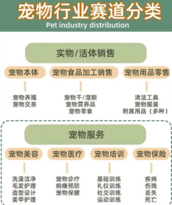 小红书宠物项目：长期稳定，月入8000+-海南千川网络科技