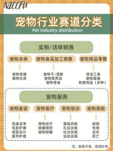 长期稳定玩法，副业每月收益6000+，小红书宠物赛道！-海南千川网络科技