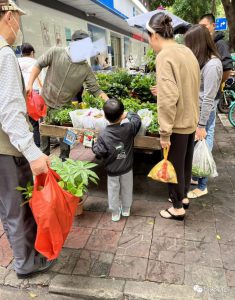 致富第一步，摆摊卖花卉绿植盆栽生意火-海南千川网络科技