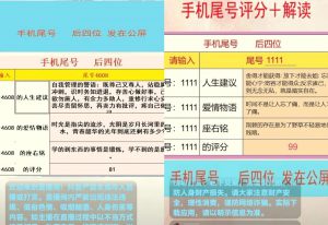 抖音新风口手机尾号项目思路，靠脚本就可以日入300+，玩法无私分享给你-海纳网创学院